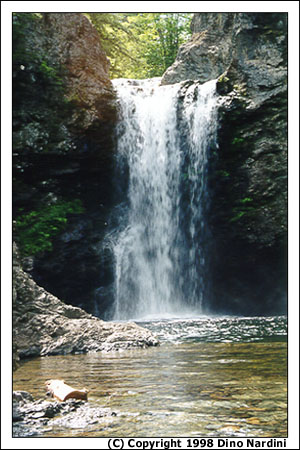 Baileys Brook Falls (Drysdale Falls)