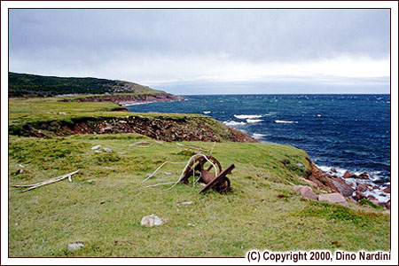 Cape St Lawrence, Northern Cape Breton
