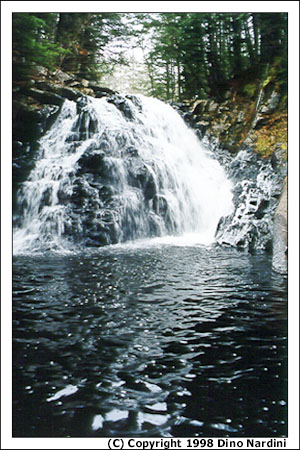 Dawson Brook Falls