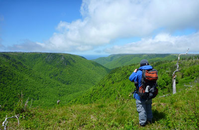 Looking down the Polletts River Valley, towards Polletts Cove