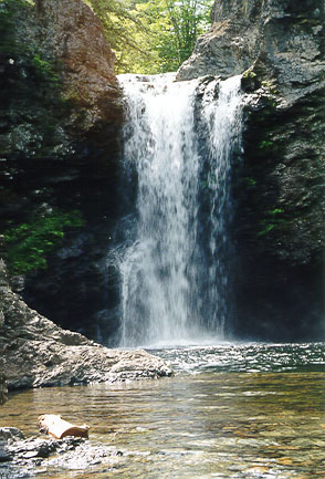 Baileys Brook (Drysdale) Falls