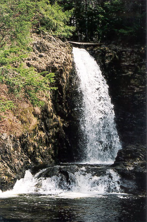 Butcher Hill Falls