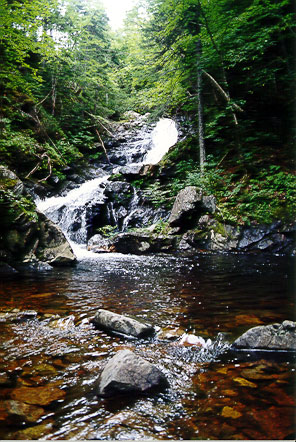 MacIntosh Brook